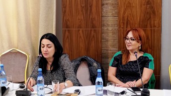 Очередная консультационная встреча, инициированная ТБ ДИАГ в Ереване