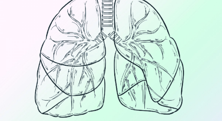 Հետաքրքիր փաստեր թոքերի մասին