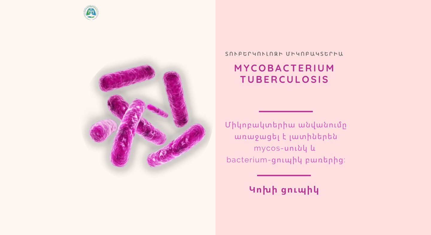 Տուբերկուլոզի միկոբակտերիայի (mycobacterium tuberculosis) հայտաբերման մասին: